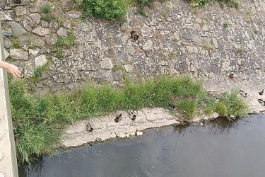 Obrázek č.29